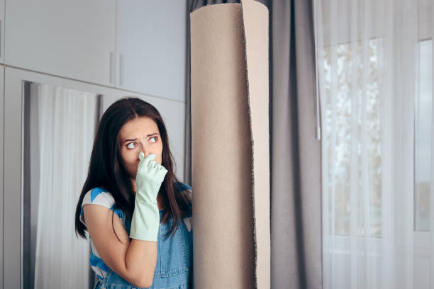 Professional Mold Removal in Mcfarland, CA